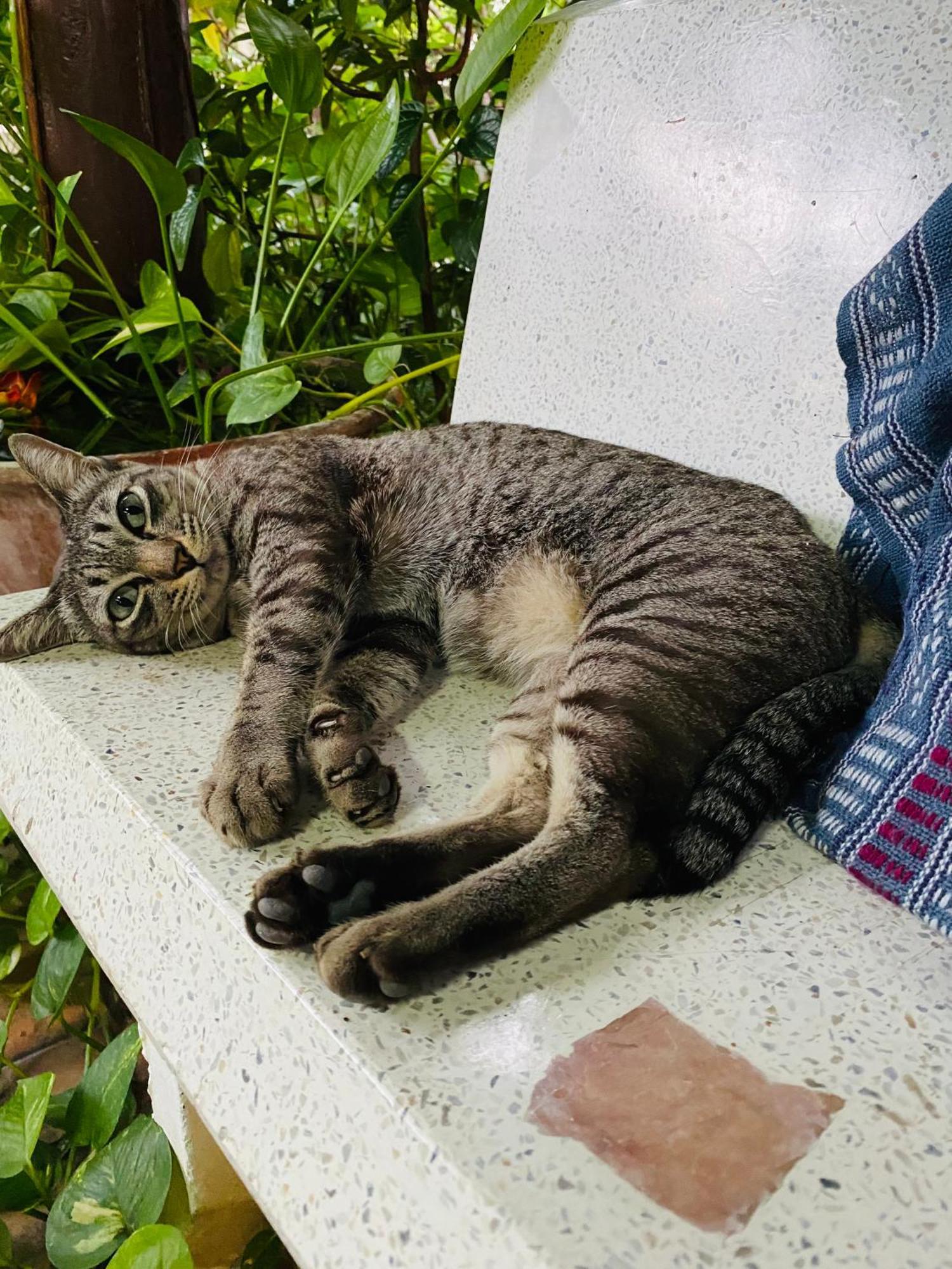 Banthai Guesthouse Phetchaburi Dış mekan fotoğraf